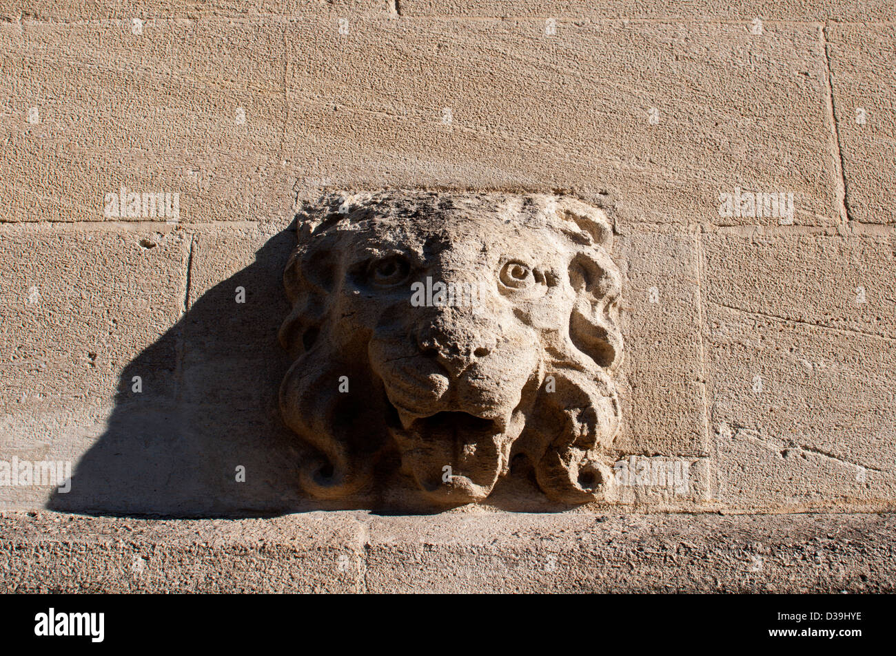 Lion carving on wall of St. John`s College, Oxford, UK Stock Photo